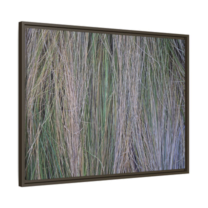 Whispers of Silver Grass - Unique Stretched Canvas Wall Art