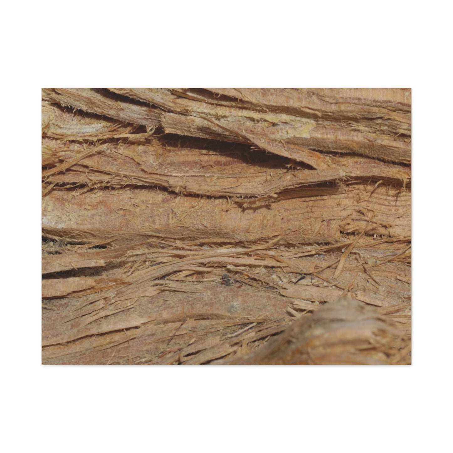 Layers of Memory - Unique Frameless Canvas Wall Art