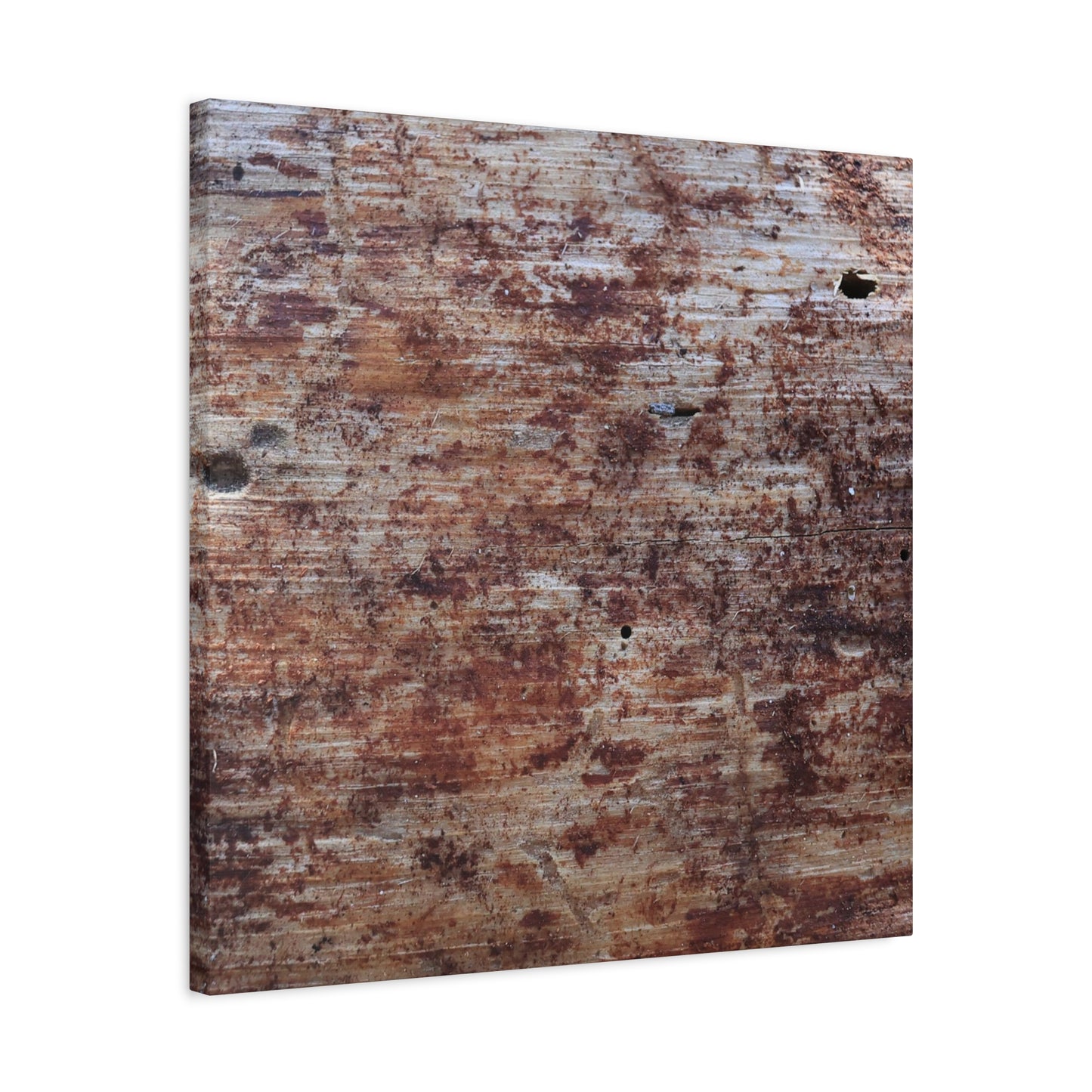 Decaying Memoir - Unique Frameless Canvas Wall Art
