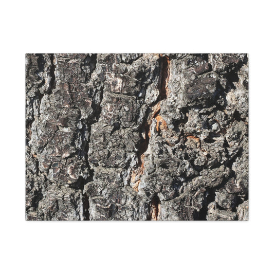 Arboreal Skin - Unique Frameless Canvas Wall Art
