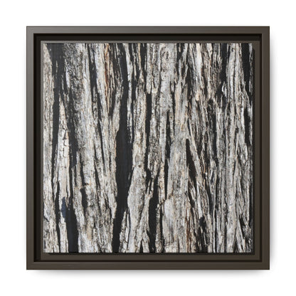 Bark Lines - Unique Stretched Canvas Wall Art