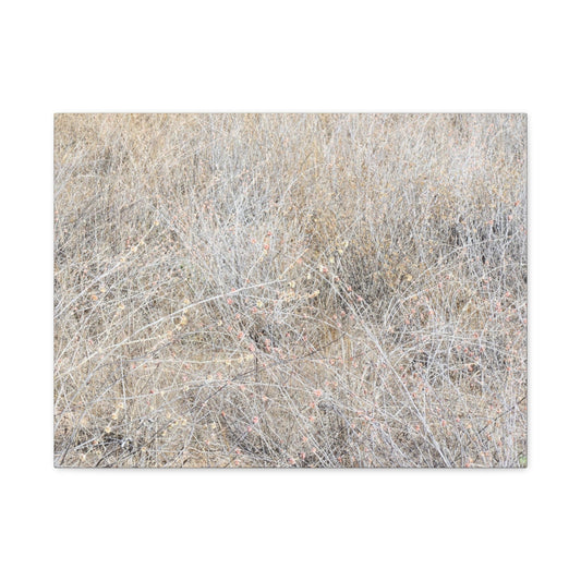 Tangled Whispers of Autumn's Fading Breath - Unique Frameless Canvas Wall Art - Art By Earth