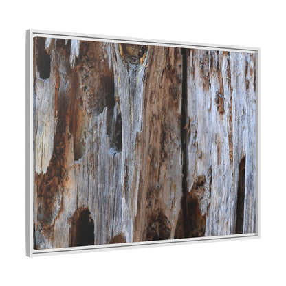 Decaying Splendor - Unique Stretched Canvas Wall Art
