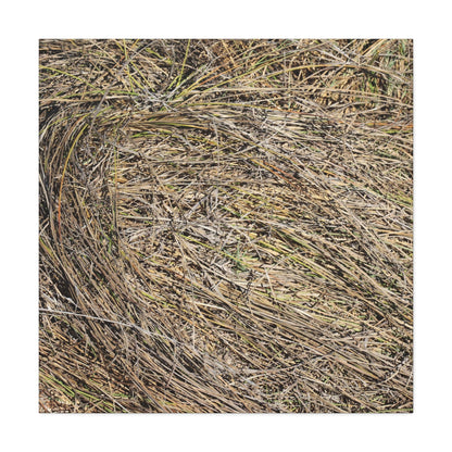 Tangled Hay - Unique Stretched Canvas Wall Art - Art By Earth