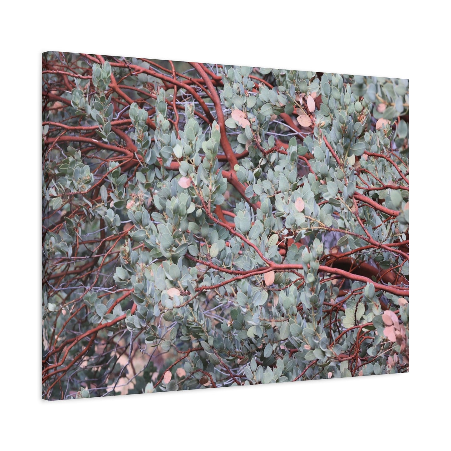Whispers of Silver and Rust - Unique Frameless Canvas Wall Art
