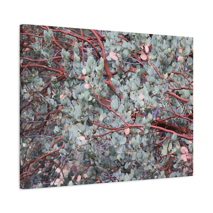 Whispers of Silver and Rust - Unique Frameless Canvas Wall Art