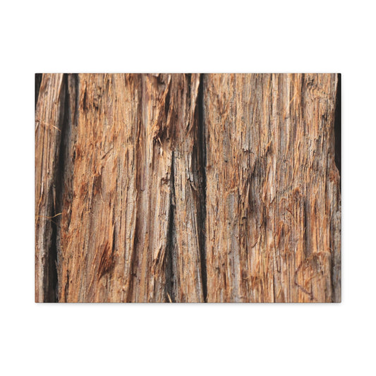 Woodland Echoes - Unique Frameless Canvas Wall Art