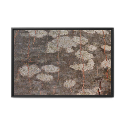 Lichen's Legacy - Unique Stretched Canvas Wall Art
