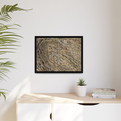 Tangled Grass Symphony - Unique Stretched Canvas Wall Art - Art By Earth