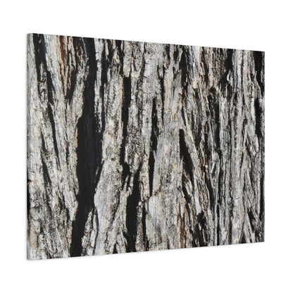 Bark Layers in Monochrome - Unique Frameless Canvas Wall Art