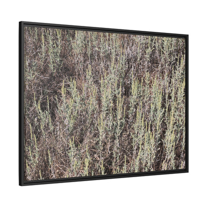 Sage Fields Forever - Unique Stretched Canvas Wall Art - Art By Earth