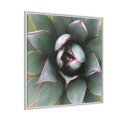 Spiky Elegance - Unique Stretched Canvas Wall Art