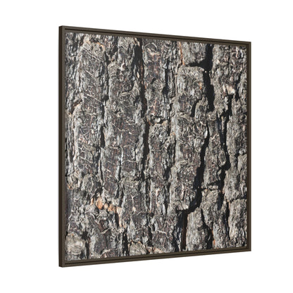 Bark Study in Gray - Unique Stretched Canvas Wall Art