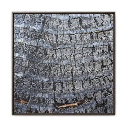 Charred Memories - Unique Stretched Canvas Wall Art