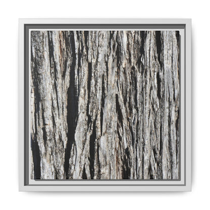 Nature's Abstract - Unique Stretched Canvas Wall Art