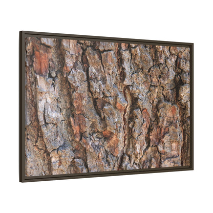 Tree's Timeworn Tale - Unique Stretched Canvas Wall Art