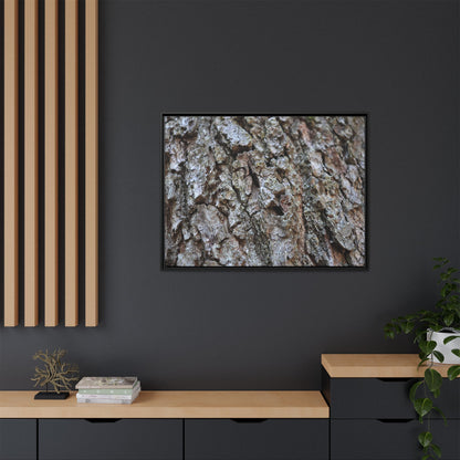 Woodland Canvas - Unique Stretched Canvas Wall Art