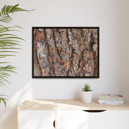 Tree's Timeworn Tale - Unique Stretched Canvas Wall Art