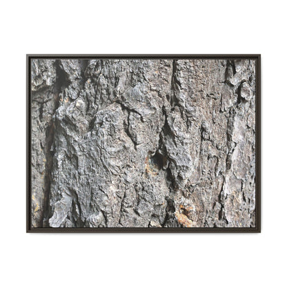 Crusty Exterior - Unique Stretched Canvas Wall Art