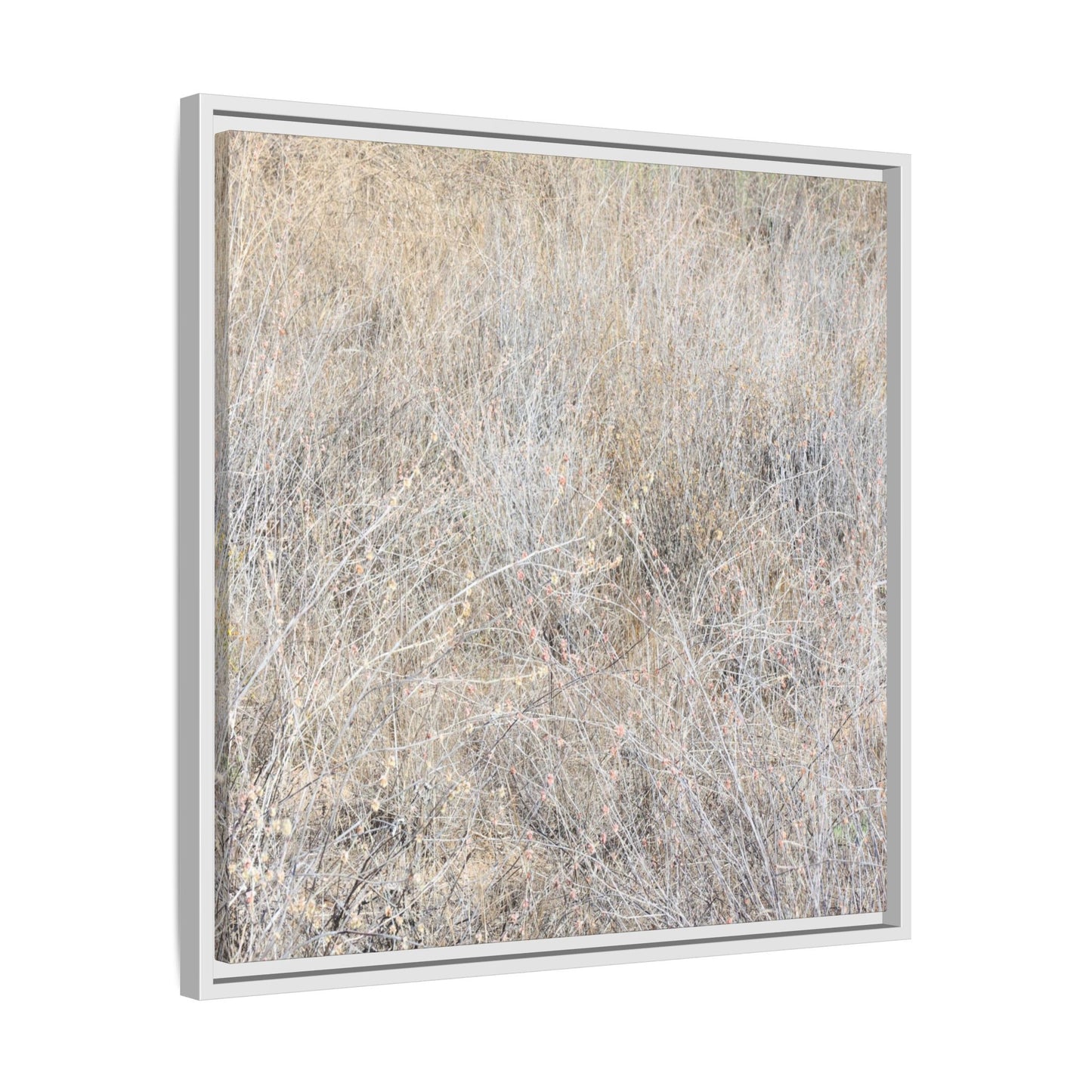 Whispers of Dry Grass - Unique Stretched Canvas Wall Art - Art By Earth