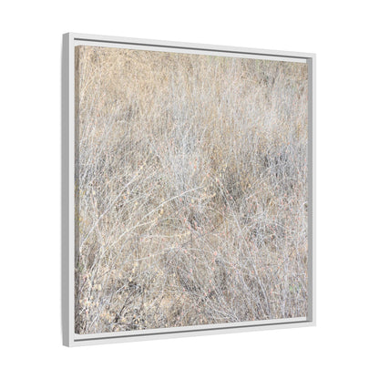 Whispers of Dry Grass - Unique Stretched Canvas Wall Art - Art By Earth