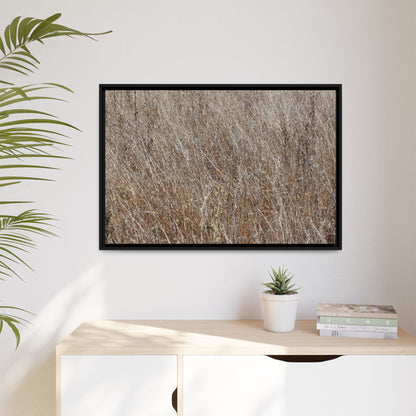 Dry Grass Symphony - Unique Stretched Canvas Wall Art - Art By Earth
