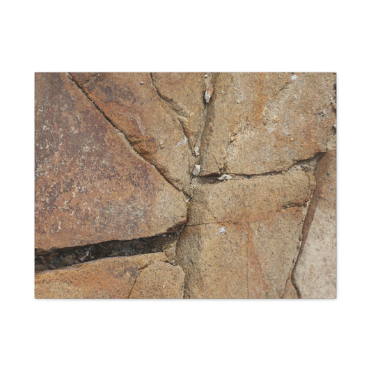 Cracked Earth's Canvas - Unique Frameless Canvas Wall Art