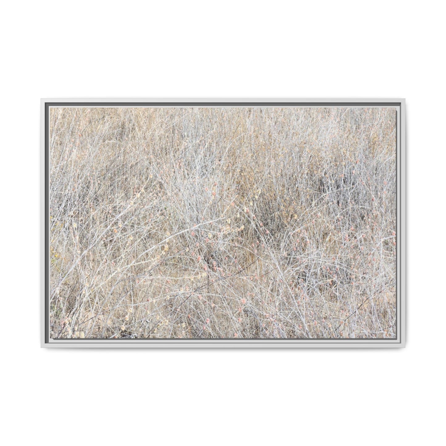 Faded Memories - Unique Stretched Canvas Wall Art - Art By Earth