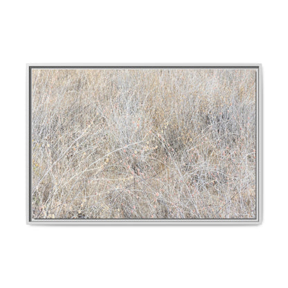 Whispers of Dry Grass - Unique Stretched Canvas Wall Art - Art By Earth