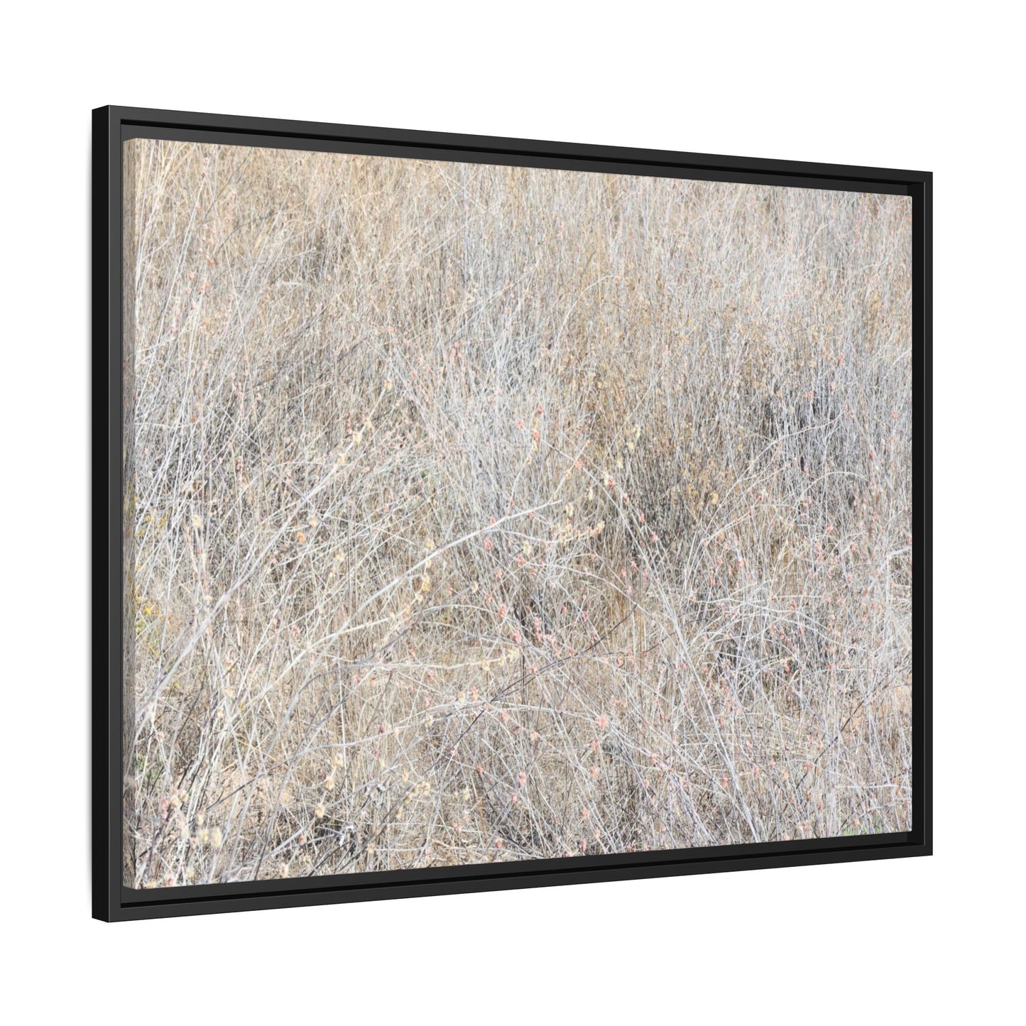 Whispers of Dry Grass - Unique Stretched Canvas Wall Art - Art By Earth