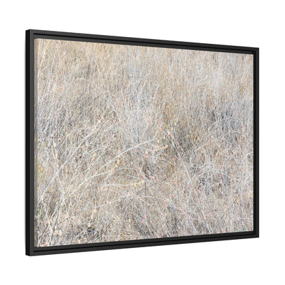 Whispers of Dry Grass - Unique Stretched Canvas Wall Art - Art By Earth