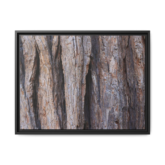 Ancient Grains - Unique Poster Wall Art