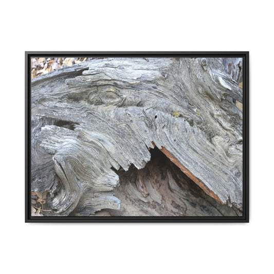 Driftwood Dreams - Unique Stretched Canvas Wall Art