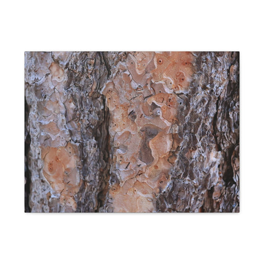 Terracotta Textures - Unique Frameless Canvas Wall Art