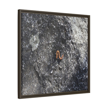 Volcanic Ash and Copper - Unique Stretched Canvas Wall Art