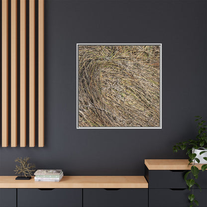 Tangled Grass Symphony - Unique Stretched Canvas Wall Art - Art By Earth