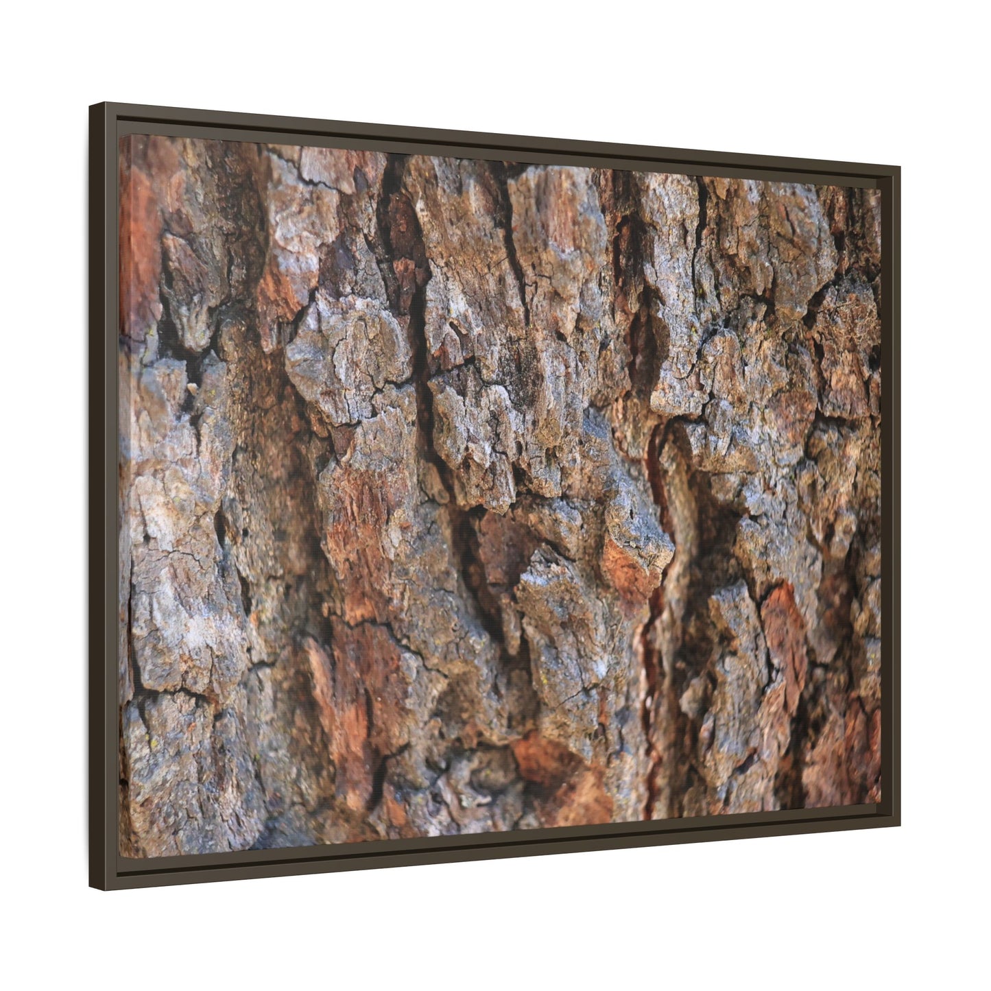 Craggy Textures - Unique Stretched Canvas Wall Art