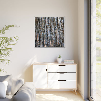Bark Whispers - Unique Stretched Canvas Wall Art