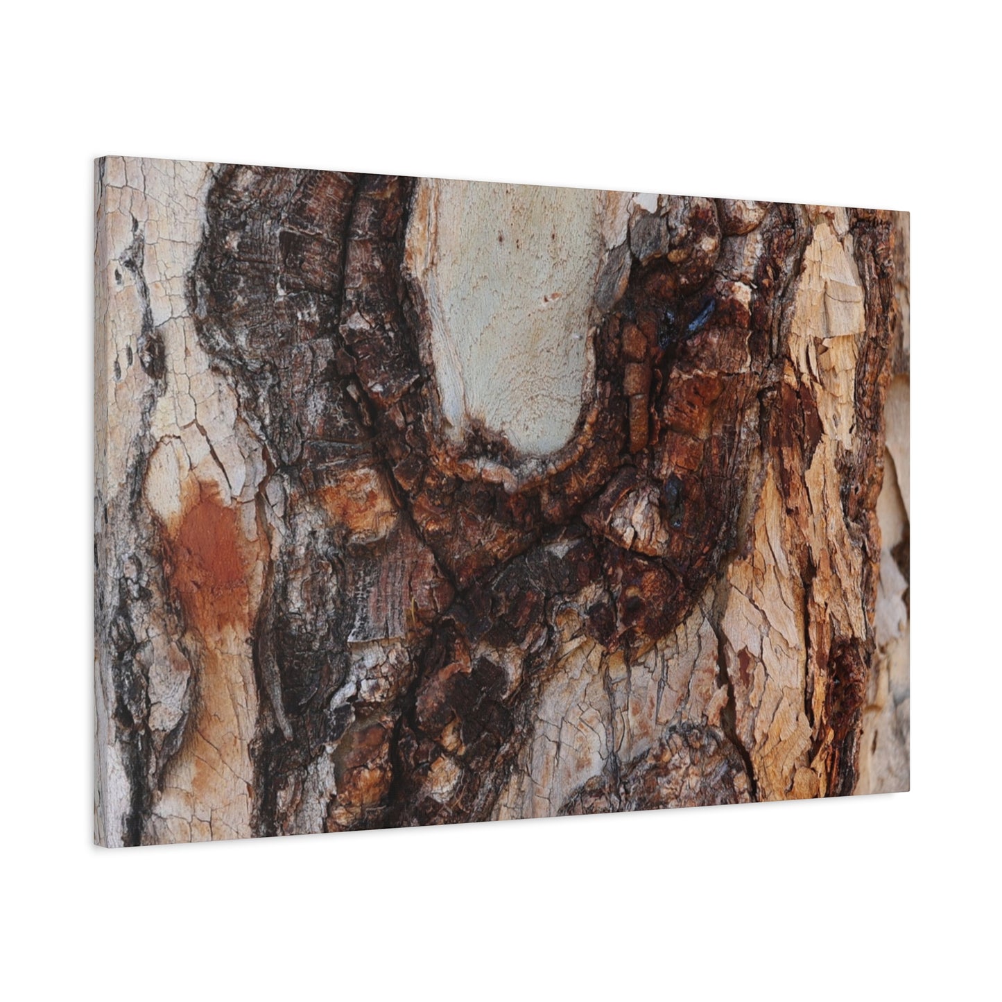 Arboreal Echoes - Unique Frameless Canvas Wall Art