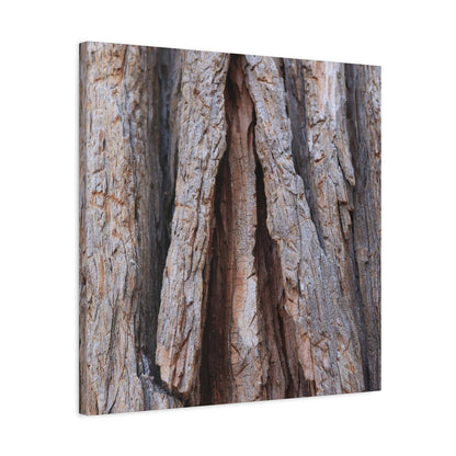 Fractured Skin of Time - Unique Frameless Canvas Wall Art