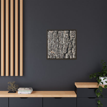 Bark Study in Gray - Unique Stretched Canvas Wall Art