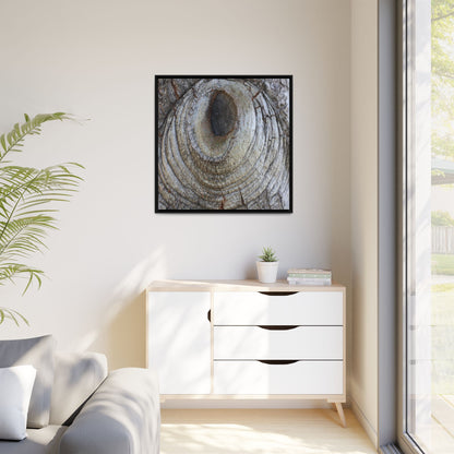 Echoes of Time - Unique Stretched Canvas Wall Art