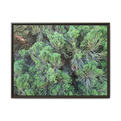 Verdant Whispers - Unique Stretched Canvas Wall Art