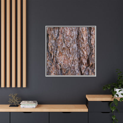Woody Layers - Unique Stretched Canvas Wall Art