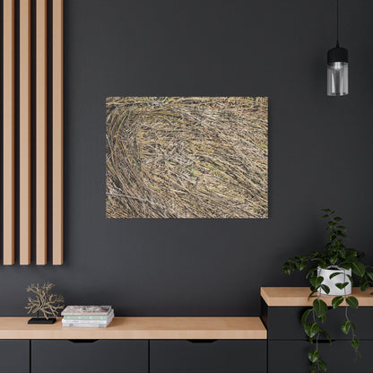 Tangled Hay - Unique Stretched Canvas Wall Art - Art By Earth