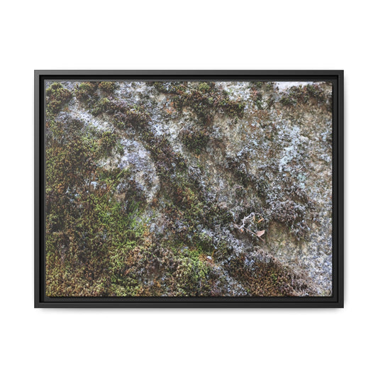 Mossy Whispers - Unique Stretched Canvas Wall Art