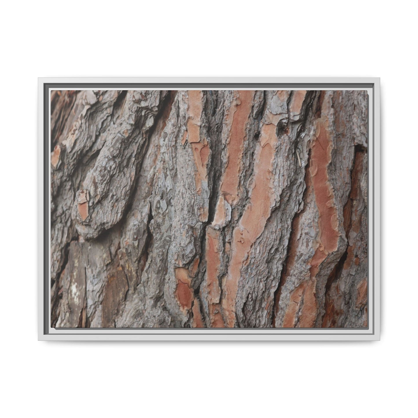 Woodland Layers - Unique Stretched Canvas Wall Art