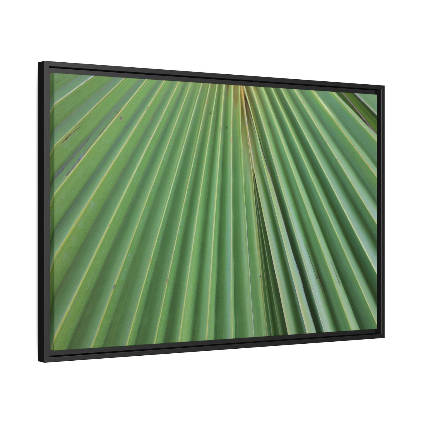 Verdant Veins - Unique Stretched Canvas Wall Art