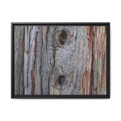 Knotty Nature - Unique Stretched Canvas Wall Art