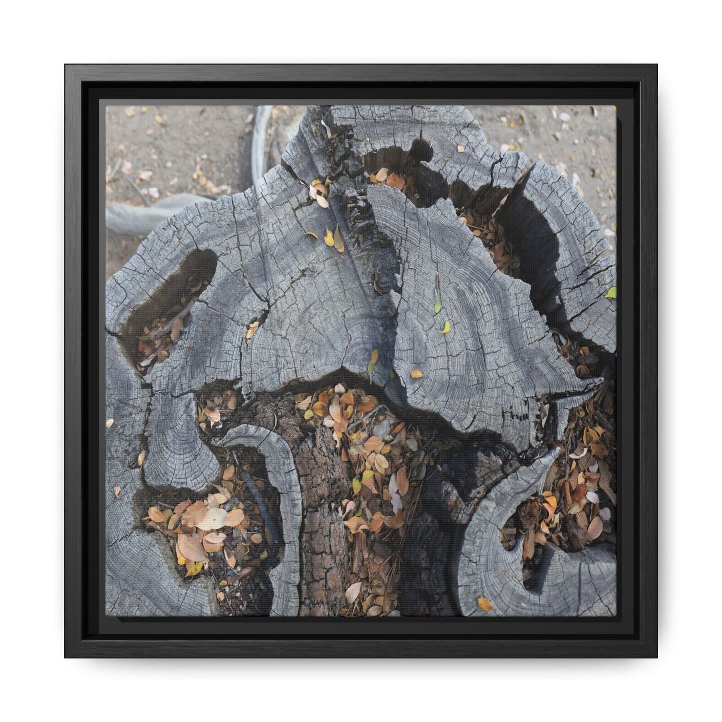 Time's Fractal Memory - Unique Stretched Canvas Wall Art